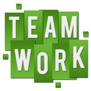 Sage software