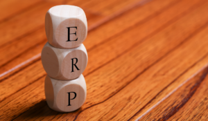 ERP Implementation